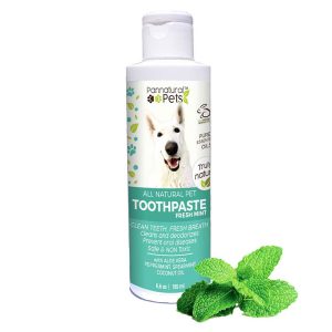 Dental Care for Dogs