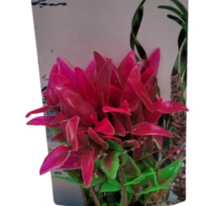 AKWA Plastic plant - PP9807 4.5" high - Animal Kingdom Pet Store