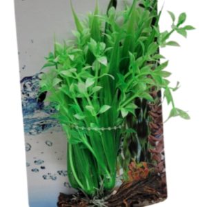 AKWA plastic plant - PP9664 5.5" - Animal Kingdom Pet Store