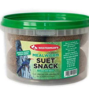 Mealworm in suet snack